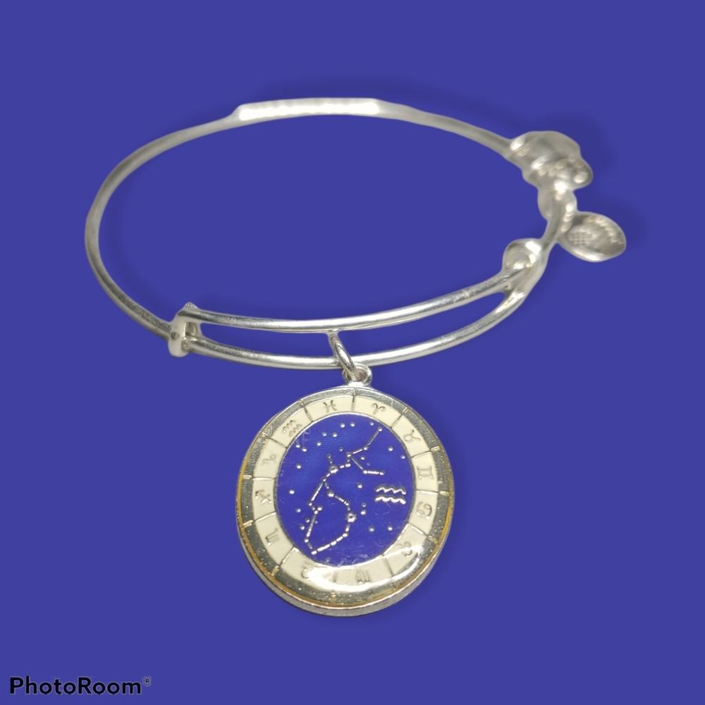 Alex and Ani Aquarius Bracelet